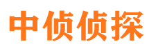 陆丰寻人公司